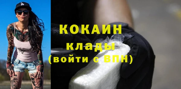 стаф Кулебаки