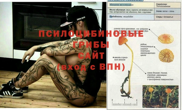 мефедрон Краснослободск
