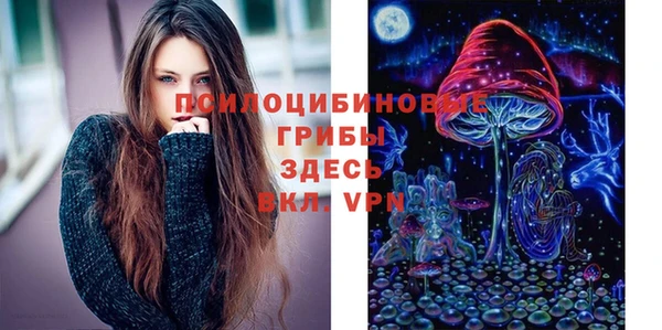 a pvp Красноперекопск
