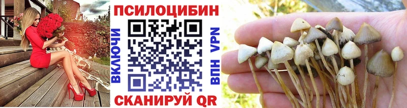 Галлюциногенные грибы мухоморы  Купить закладки  Новая Ладога 